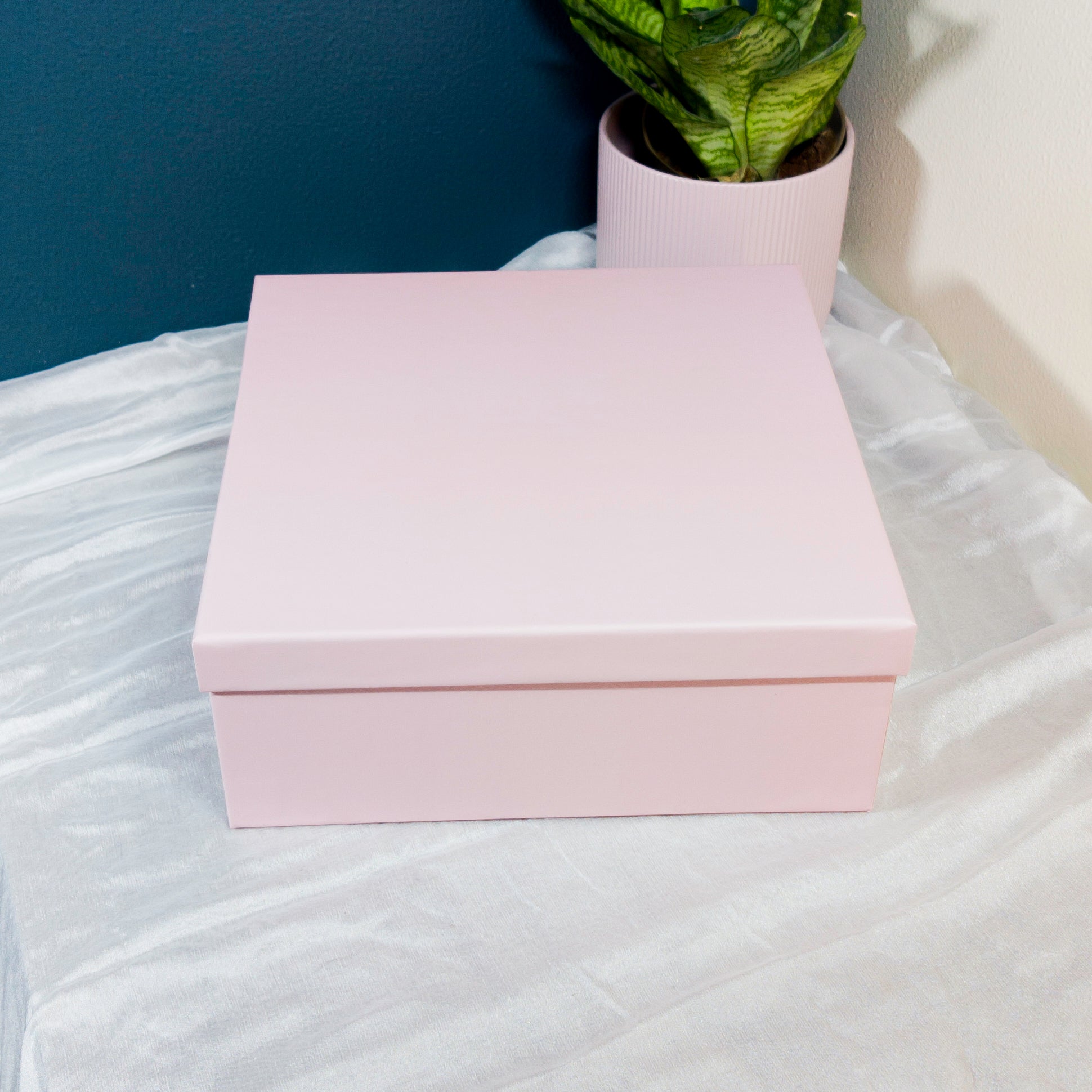 Pastel Pink Box