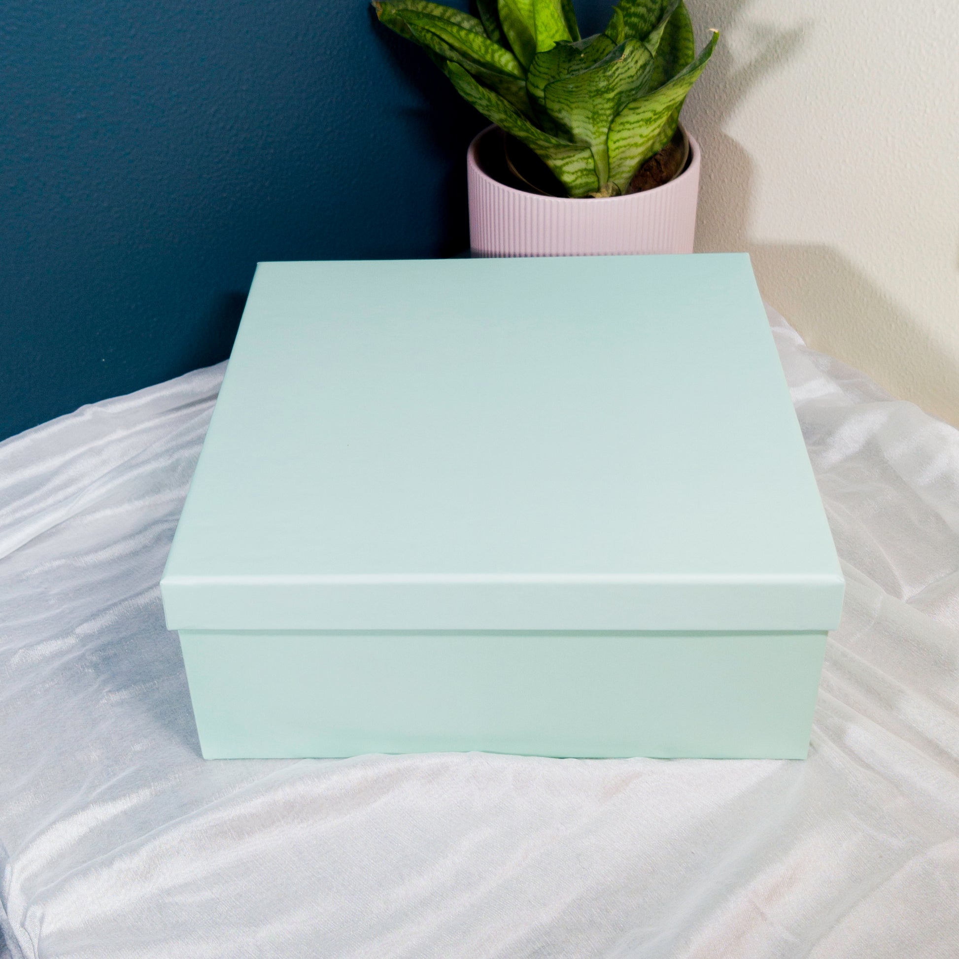 Pastel Blue Box