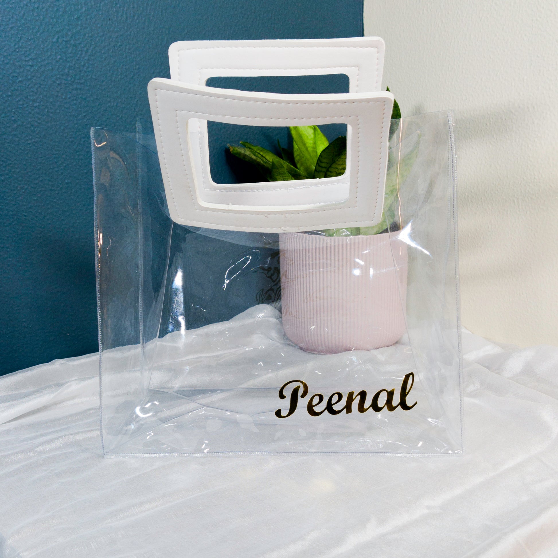 Transparent Bag